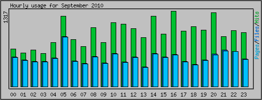 Hourly usage