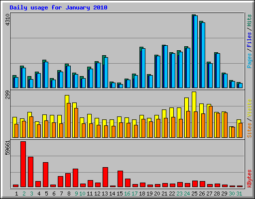 Daily usage for January 2010