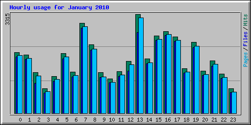 Hourly usage for January 2010