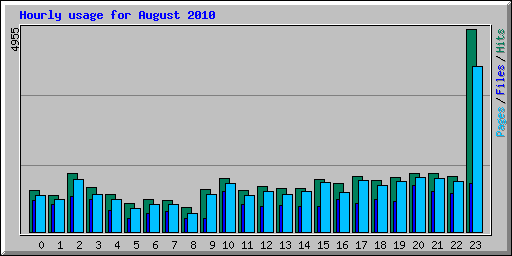 Hourly usage for August 2010