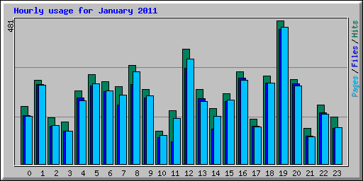 Hourly usage for January 2011